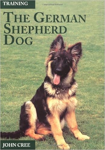 fancy goldfish types