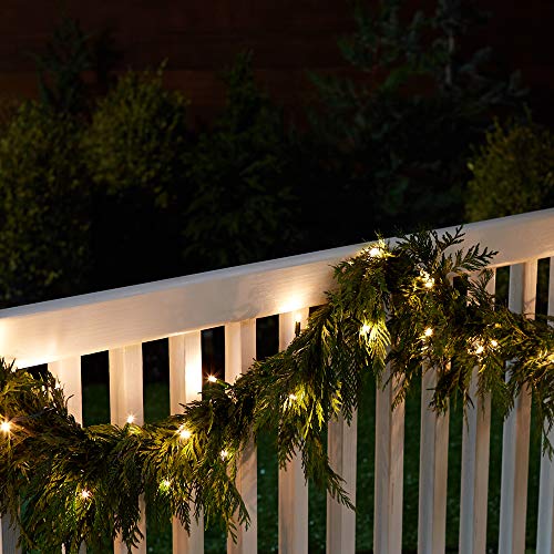 Amazon Basics 100 LED Commercial Grade Outdoor Christmas String Lights