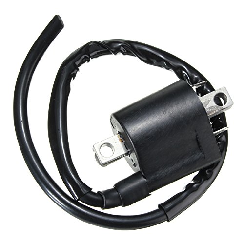 image for FeiFeiTian Golf Cart Ignition Coil For Yamaha G2 G9 G11 EPIGC105 J38-8