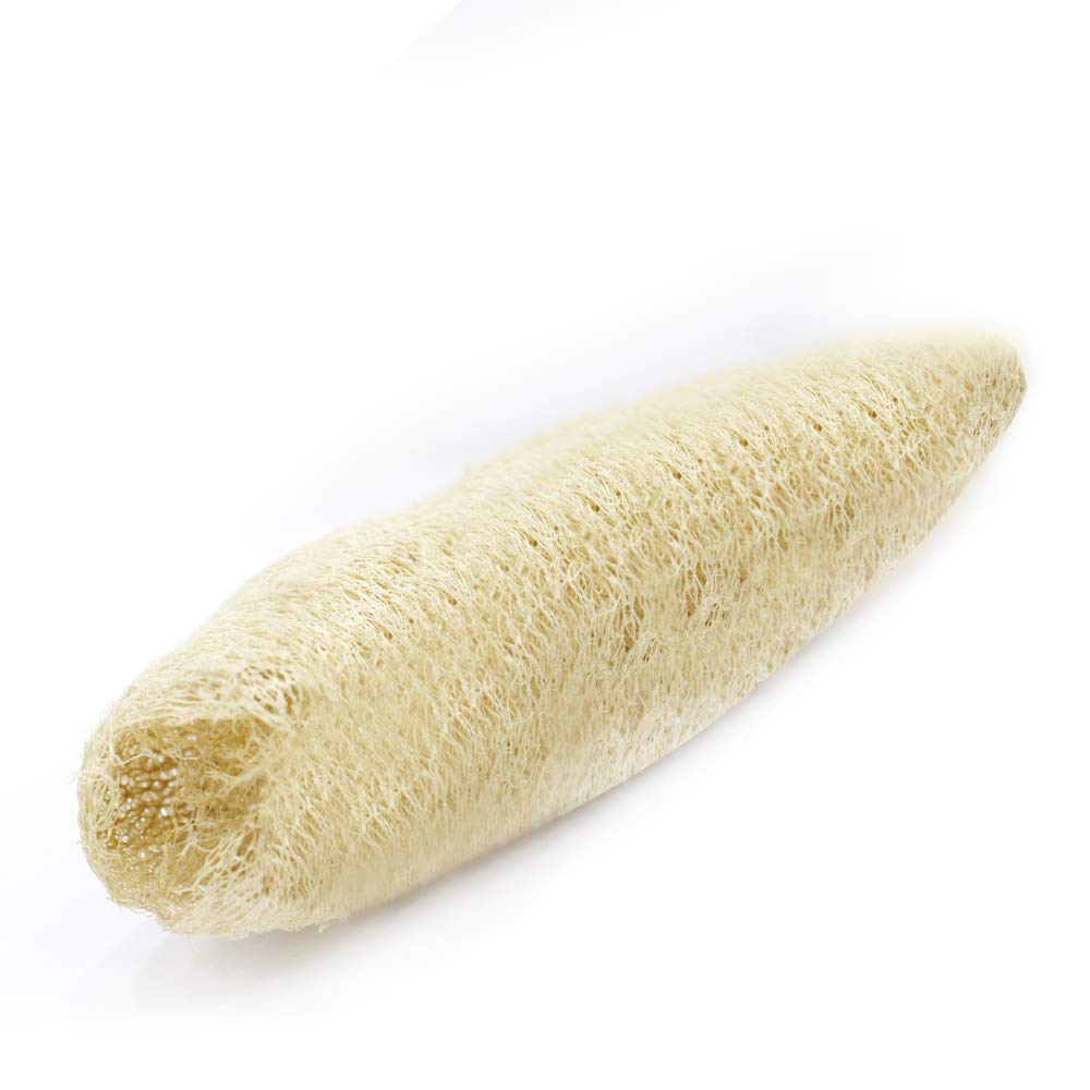 natural organic loofah sponge Skin cleansing skin exfoliation Bathing and Back