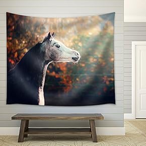 Beautiful Arabian Horse with Whitehead on Wonderful Nature Background - Fabric Wall Tapestry Home Decor - 51x60 inches