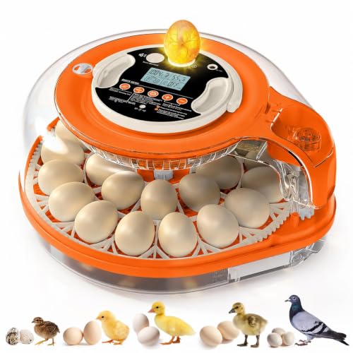 QVKHPCL 26-Egg Voice Control Incubator