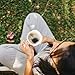 CAFÉ BRITT - GOURMET COFFEE, Whole Bean Coffee Blend, Poas, Costa Rican Coffee, Single Origin, Medium Roast, 12 Oz. Bag