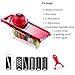 Vegetable Chopper Mandoline Slicer,6 in 1 mandoline slicer cutter chopper and grater with Hand Protector, Interchangeable Blades - for Cutting Onions, Potatoes, Carrots and Other Fruits