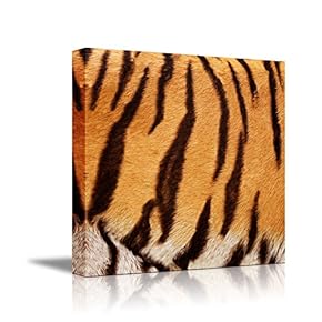 Canvas Prints Wall Art - Canvas Prints Wall Art - Tiger Fur/Skin Texture - 12"x12"