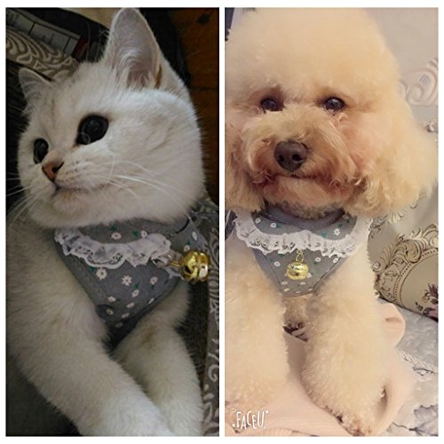 M2cbridge Small Dog Harness Leash Leads Set Step-in Soft Mesh Vest Cat Collar (M, Gray)