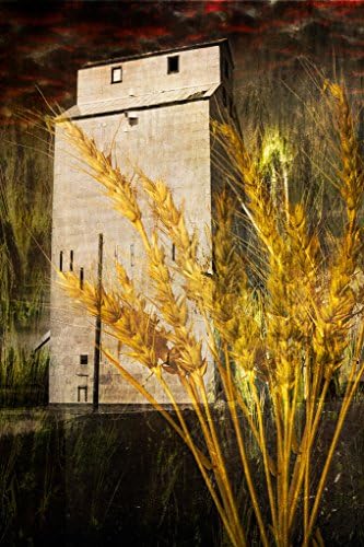 Grain Elevator. Fine Art Digital Art Photography Print for Home Decor Wall Art