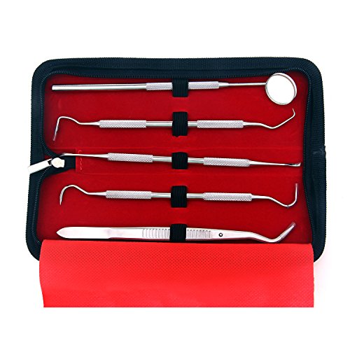 Dental Hygiene Tool Set Oral Care Tools Stainless Steel Dentist Tools