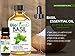 BioFinest Sweet Basil Oil - 100% Pure Sweet Basil Essential Oil - Premium Organic - Therapeutic Grade - Aromatherapy - Best For Flu - Help to Ease Dizziness- Remove Odors - FREE E-Book (10ml)