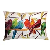Aremazing Super Soft Rectangle Abstract Colored Bird Pattern Home Decorative Pillowcase Throw Pillow Cushion Cover (C)