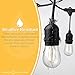 Hudson Lighting Outdoor String Lights - LED - for Patio, Garden, Deck, Backyard, Gazebo - 48 Feet - S14 – 15 Hanging Sockets - E26 Base - 2 Watt