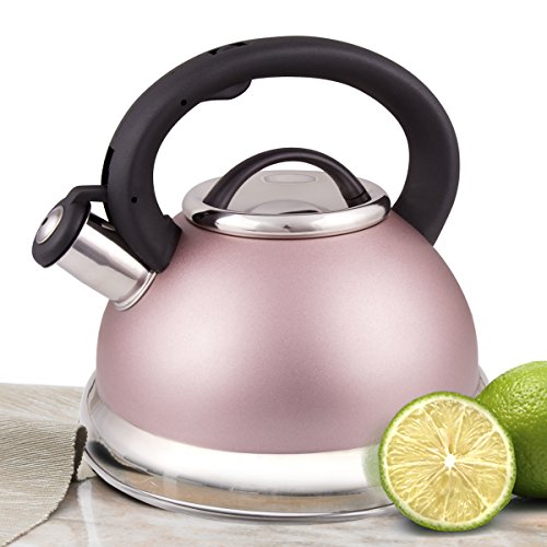 Creative Home 77069 Alexa Stainless Steel Whistling Tea Kettle with