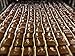 Chocolate-covered Cocomels - Coconut Milk Caramels - Organic, Kosher, NON-GMO, Vegan - Made Without Dairy (Variety, 6 pack)