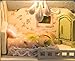 Cuteroom Mini Glassball Dollhouse Miniature DIY Kit Handmade Xmas/Birthday Idea gift Sakura Love