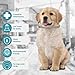Small Dog Flea and Tick Collar,8-Month Flea and Tick Treatment and Prevention for Dogs Under 18 lbs,100% Natural Ingredients, Waterproof,Include Tick Removal Tools (2 Pack)thumb 1