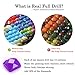 DIY 5D Diamond Painting Kits for Adults Full Drill Diamond Dotz Painting Crystal Diamond Arts Crafts for Home Wall Decor - North American Cardinals (16 x 12 in)