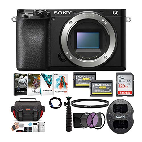 Sony Alpha a6100 APSC Mirrorless InterchangeableLens Camera (Body