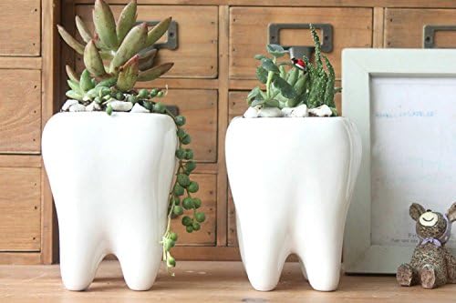 White Small Ceramic Plant Pot / Pen Holder Set of 2, Cute Tooth Shape