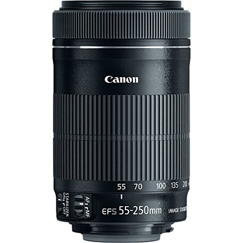 Canon EF-S 55-250mm f/4-5.6 IS STM Lens + 3 Piece Filter Set + 4 Piece Close Up Macro Filters + Lens Cleaning Pen + Pro Accessory Bundle - 55-250mm STM: Stepper Motor Lens - International Version
