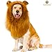 SunGrow Lion Mane Wig with Ears - Photo Prop, Fancy Costume for Large Dogs & Cats - Perfect Lion Hat for Halloween & Cosplay Parties - Realistic, Funny, Cute Headgear