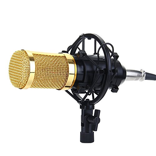 Recording Microphone Professional Condenser Mic with Shock Mount and Anti-wind Foam Cap for Ham Radio Podcasting Presentation (Black)