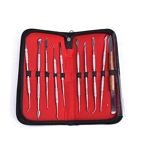 10PCS Dental Wax Carvers with Case, Stainless Steel Carving Instruments, Sculpture Tools