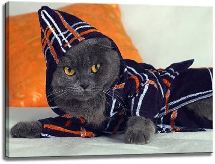 Chat En Pyjama Photo Sur Toile Format 80 Cm X 60 Cm Impression D Art De Haute Qualite Comme Une Fresque Moins Cher Qu Une Peinture A L Huile Attention Aucune Affiche Amazon Fr Cuisine