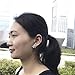 Rhodium Plated Sterling Silver Bichon Dog Aminal Stud Earrings Puppy CZ Studs for Women Girls