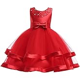 NSSMWTTC 3M-9T Baby Pageant Dress Toddler Girls Tutu Gown Flower Wedding Dresses