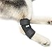 Dog Rear Leg Joint Brace Heals Hock Wrap for Canine with 1 Roll of Bandage Wrap (XXS/Long)