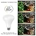 Henlixin BR30 LED Light Bulbs, 75W Equivalent LED Bulb 5000K Daylight White, 800 Lumens E26 Medium Base Non-dimmable Flood Lighting Bulbs, 12-Pack