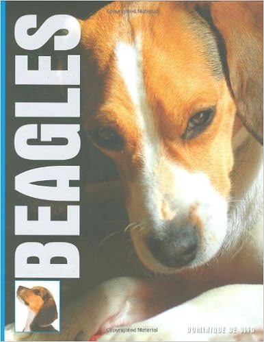 Beagles �n�[�h�J�o�[ - 2008/7/1