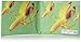 Dynomighty Men's Mighty Wallet Manana, Multi, One Size