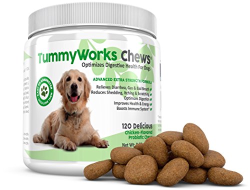 TummyWorks Probiotic Chews for Dogs. Relieves Diarrhea, Upset Stomach, Gas, Constipation & Bad Breath, Itching, Allergies & Yeast Infections. With Digestive Enzymes & Prebiotics. Made in USA 120 count