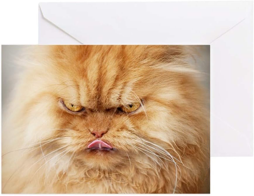 Amazon Com Cafepress Persian Cat Looking Angrily Into Cam