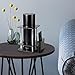 Aobelieve Acrylic Speaker Stand for Alexa Amazon Echo, with Remote Holder, Black