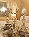 Royal Imports Pillar Candles White Unscented Premium Wax, 30 Hours Burning for Wedding, Spa, Party, Birthday, Holiday, Bath, Home Decor - 3