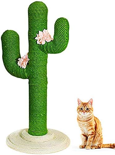 ZNN Cat Climbing Frame - Vertical Cat Jumping Cat Cat Scratch Board Cat Educational Toys, Fashion Cactus Shape Design, Anti-Slip, Suitable for All Cats