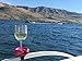 Outdoor Wine Glass Holder by Bella D'Vine - 3 Attachments include Lawn Wine Stake For Picnics, Suction Base For Boats and Hot Tubs, Strap For Patio Chairs or Rails - Fun Wine Gift - Fuchsia
