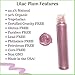 Fifth & Skin BOTANICAL LIP GLOSS Natural - 90% Organic - Gluten Free - Cruelty Free - Velvety Feel - Moisturizing Vitamin Rich (Lilac Plum)