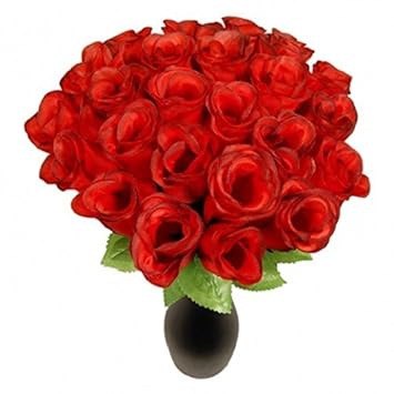 Schramm Pack De 24 Haies Roses Rouges 26cm Art Roses Fleurs