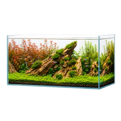 Hjarta Ultra-Clear Rimless Aquarium