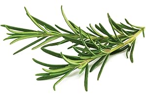 Click and Grow Smart Garden Rosemary Plant Pods, 9-Pack