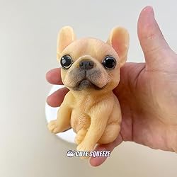 Handmade Taba Squishy Dog Toy, Taba Squishy French