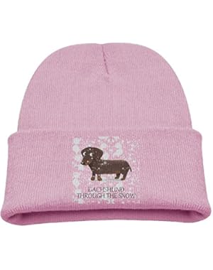 Dachshund Through The Snow Unisex Baby Toddler Stretchy Knit Beanie Skull Cap
