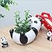 Youfui Cute Panda Flowerpot Animal Resin Succulent Planter Desk Mini Ornament