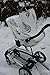 Hny Baby Car Seat Covers For Babies 4 in 1 Multi Use As Nursing Highchair Shopping Cart (Ferns)