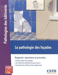 La  pathologie des façades