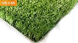 PZG Artificial Grass Rug w/ Drainage Holes & Rubber Backing | 2-Tone Realistic Synthetic Grass Mat | Extra-Heavy & Soft Pet Turf | Lead-Free Fake Grass for Dogs or Outdoor Decor | Size: 12' x 6'
