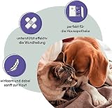 Leucillin GRAU Antiseptic Spray 60 ml All Mammals pH Neutral view 2
